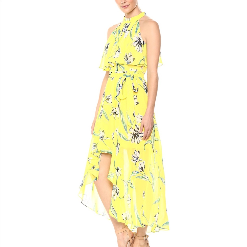 Eliza J Floral High Low Dress